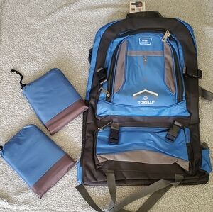 Blue and Gray Men's Backpack